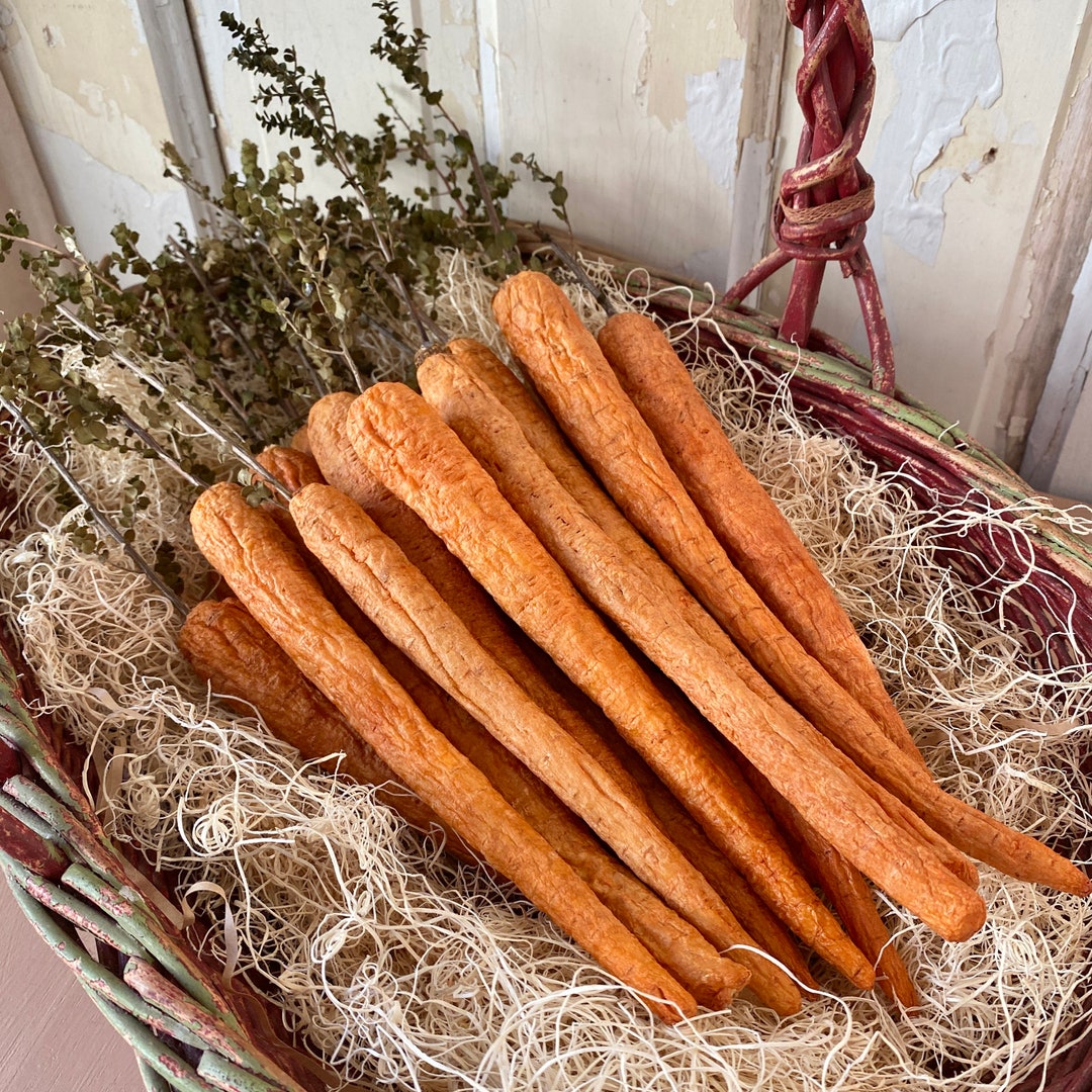 Freeze Dried Carrot Trio Etsy