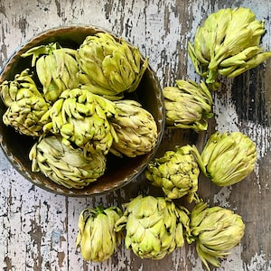Dried Artichokes