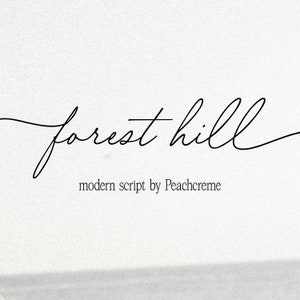 Script Font, Swashes Font, Calligraphy Font Signature Font, Logo Font, Handwriting Font, Script Font, Wedding Font, Elegant Fonts
