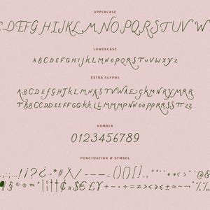 May include: A handwritten font alphabet in uppercase, lowercase, and numbers. The font is a cursive script style with a light brown color on a pink background. The alphabet includes extra glyphs, punctuation, and symbols.