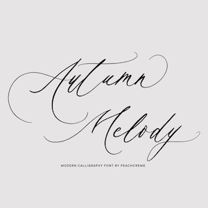 Wedding Font, Calligraphy Font, Wedding Font, Script Font, Handwritten Font , Calligraphy Script, Script Font, Cursive Handwriting Font