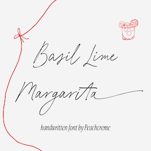 Script Font, Swashes Font, Calligraphy Font Signature Font, Logo Font, Handwriting Font, Script Font, Wedding Font, Elegant Fonts