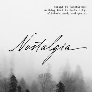 Vintage Script Font, Calligraphy Font Signature Font, Logo Font, Handwriting Font, Script Font, Wedding Font, Elegant Fonts, Nostalgia Font