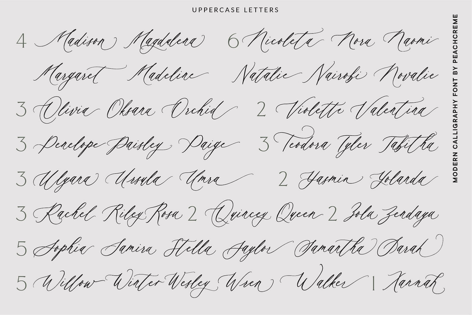 Wedding Font, Calligraphy Font, Wedding Font, Script Font, Handwritten ...