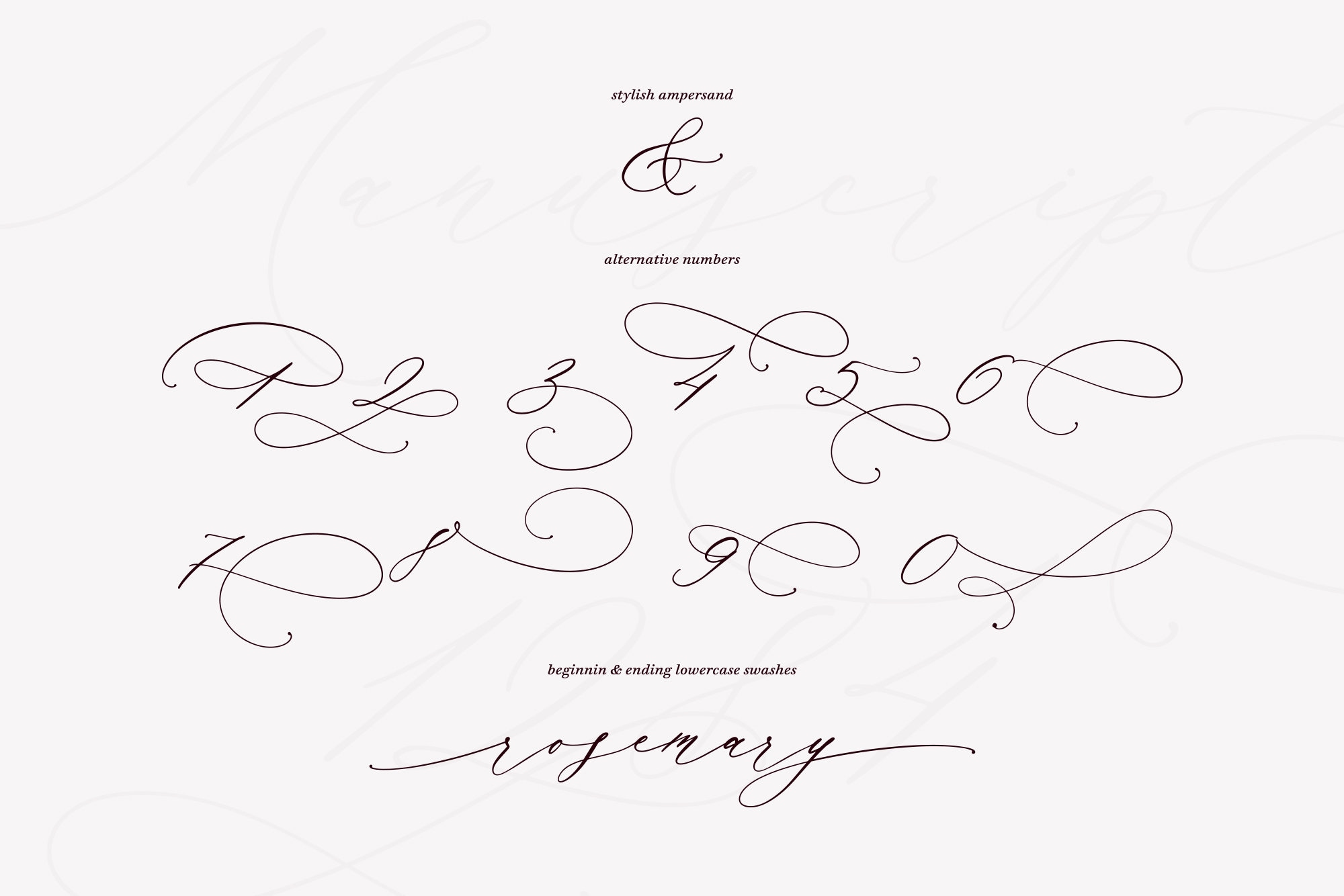 Manuscript 1284 Font, Cursive Calligraphy Typeface (TTF, OTF, WOFF) - Etsy