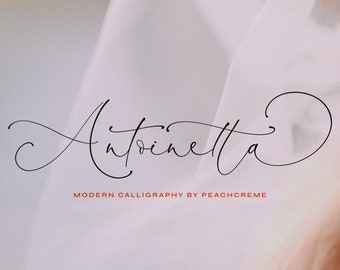 Calligraphy Font, Modern Calligraphy, Stylish Fonts, Wedding Font, Invitation Font, Script Font, Digital Download, Font, Antoinetta font