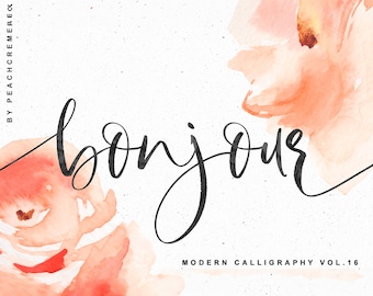 May include: Watercolor illustration of two peach-colored flowers with the word "bonjour" written in black calligraphy. The text "MODERN CALLIGRAPHY VOL. 16" is written below the flowers.