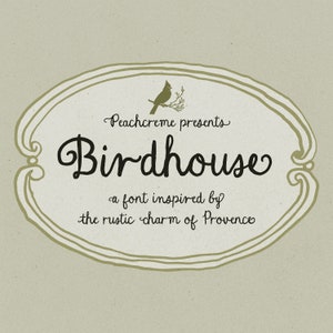 Quirky font, cursive font, handwritten font, quirky calligraphy, rustic font artisan script, hand-drawn typeface, Birdhouse Vintage Font