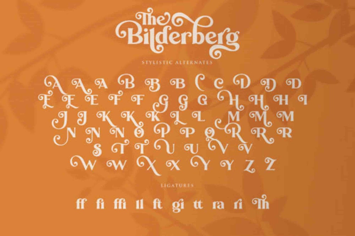 Long Tail Font Bold Serif Font Cursive Font Font with | Etsy