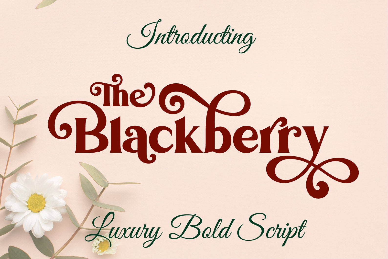 Long Tail Font Bold Serif Font Cursive Font Font with | Etsy