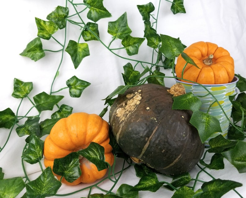 Silk Ivy Vines 84ft Plastic 12 Pack Leaf Garland Plants Etsy