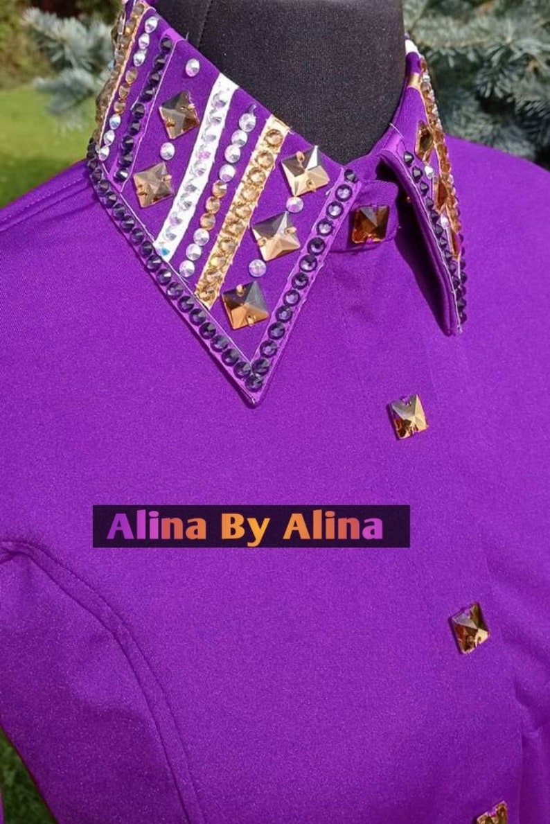 Western custom Rodeo Queen Show Shirt in stretchable Stuff with Glass Stones Embellishments image 6