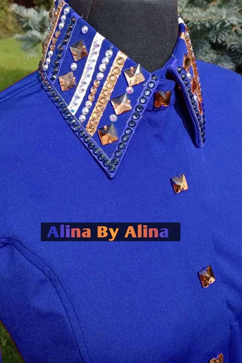 Western custom Rodeo Queen Show Shirt in stretchable Stuff with Glass Stones Embellishments image 1