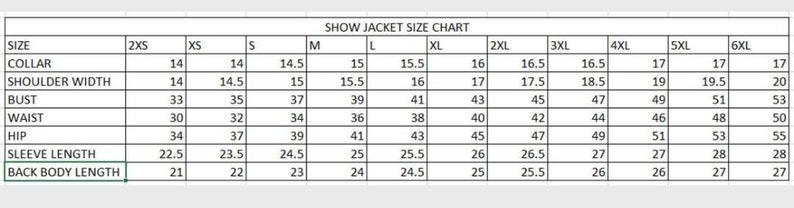 Western custom Rodeo Queen Show Shirt in stretchable Stuff with Glass Stones Embellishments image 10
