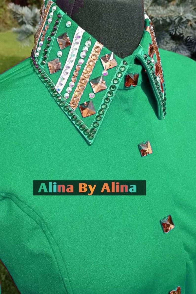 Western custom Rodeo Queen Show Shirt in stretchable Stuff with Glass Stones Embellishments image 4
