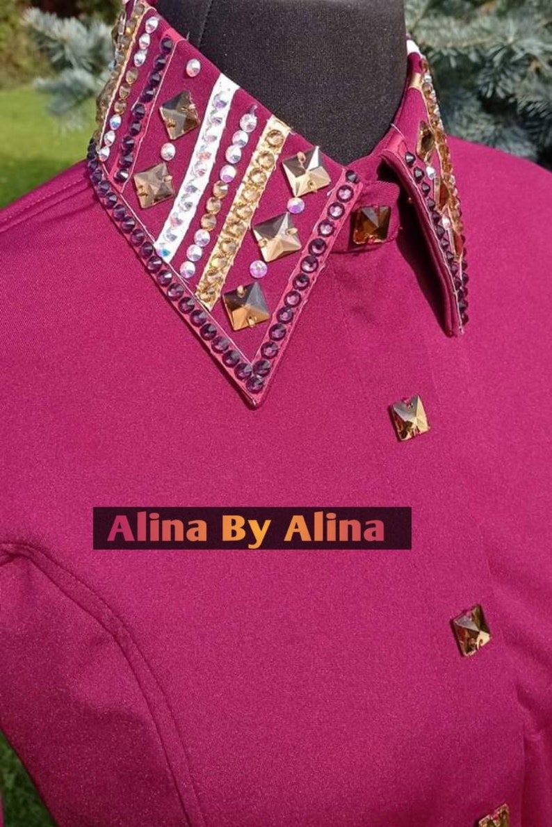 Western custom Rodeo Queen Show Shirt in stretchable Stuff with Glass Stones Embellishments image 9