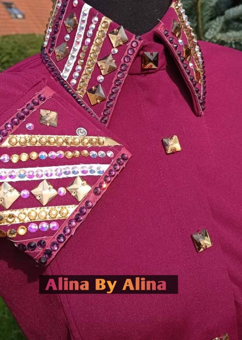 Western custom Rodeo Queen Show Shirt in stretchable Stuff with Glass Stones Embellishments image 8
