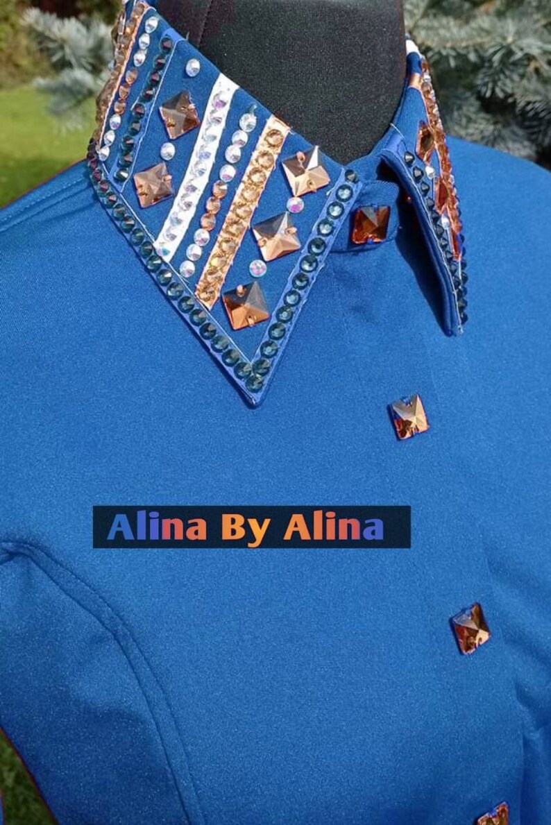 Western custom Rodeo Queen Show Shirt in stretchable Stuff with Glass Stones Embellishments image 7