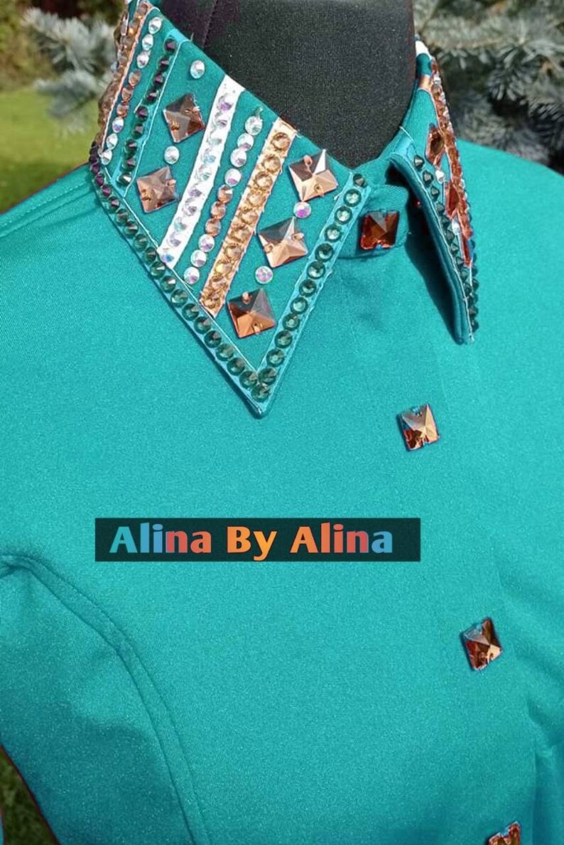 Western custom Rodeo Queen Show Shirt in stretchable Stuff with Glass Stones Embellishments image 5