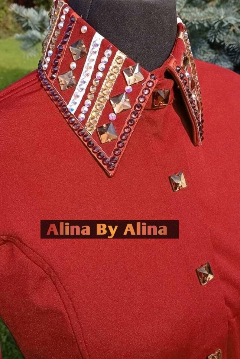 Western custom Rodeo Queen Show Shirt in stretchable Stuff with Glass Stones Embellishments image 3