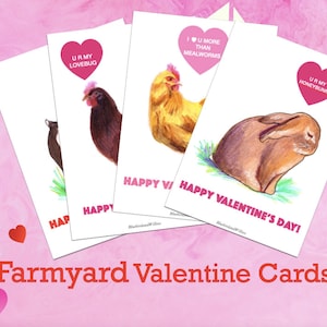 Farmyard Valentine&#39;s Card
