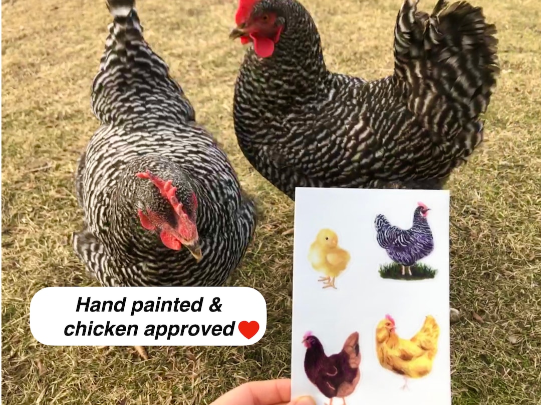 Chicken Skin Sticker Layout Chicken Sticker Sheet - Etsy