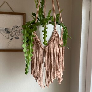 Boho Macrame Fringe Plant Hanger