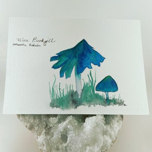 Aquarell Postkarte - Blau Pinkgill Pilz
