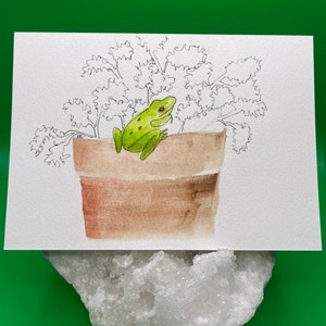 Carte postale aquarelle de grenouille arboricole - Oeuvre originale - Carte de vœux - Cadeau pour environnementaliste - Cadeau pour Frog Lover