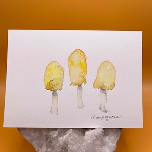Cartão Postal Aquarela - Cogumelo - Pintura de Cogumelo - Postal Cogumelo - Saudação de Cogumelo