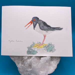 Aquarela Oyster Catcher - Arte Original - Pintura de Pássaros - Saudação - Aves Marinhas - Presente para Observador de Pássaros - Cartão Postal