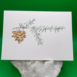Postal de acuarela - Piña - Rama de pino - Tarjeta de Navidad - Saludo de invierno