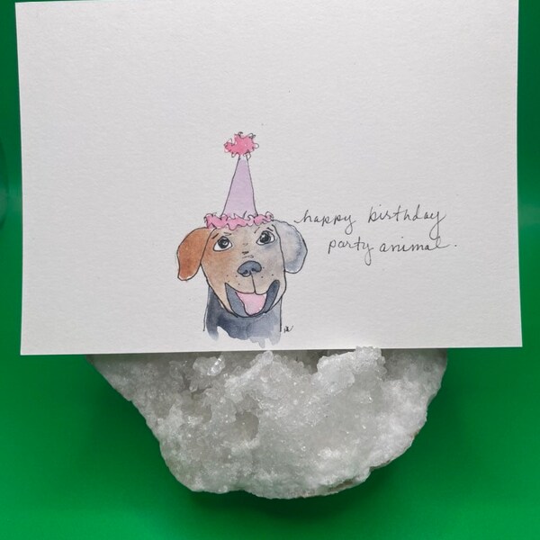 Dog Party Hat Etsy