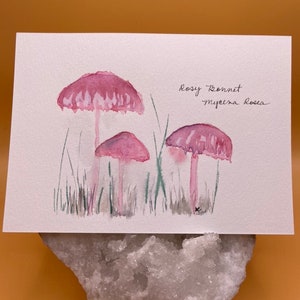 Cartão Postal Aquarela - Cogumelo Bonnet Rosado