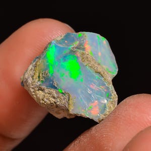 Peut inclure: Une pierre d'opale brute avec des éclairs verts, bleus et rouges vibrants. L'opale est tenue dans une main, mettant en valeur sa texture naturelle non polie et son jeu de couleurs irisé. La pierre a une base claire et laiteuse.