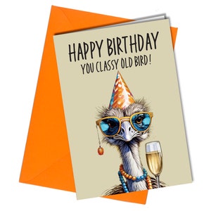 CARTE D'ANNIVERSAIRE Vieil oiseau chic / carte drôle grossière / autruche #362