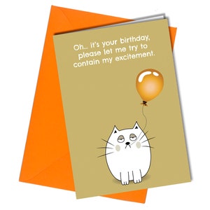 Tarjeta de cumpleaños que contiene mi emoción / Gato gruñón gracioso / Globo / Amigo n.° 467
