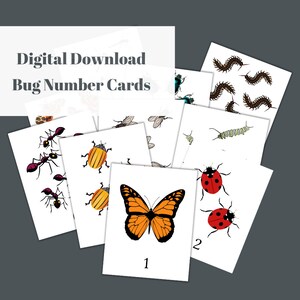 Bug Number Cards Digital Download Preschool Kindergarten Montessori Nature School