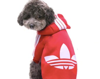 Adidog uk Clearance