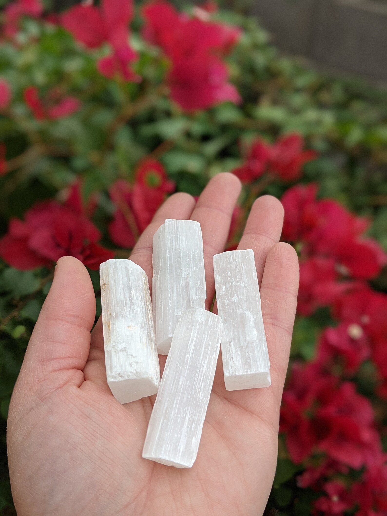 Varita selenita cruda palos de selenita spar satinado yeso | Etsy