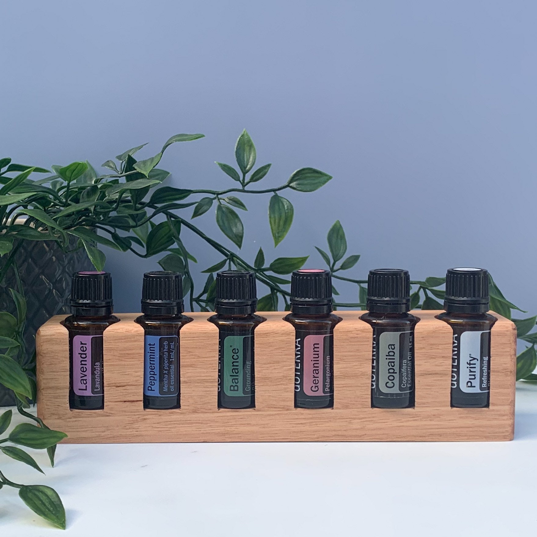 Roller Bottle Holder Stand Storage for Essential Oil Blends Etsy