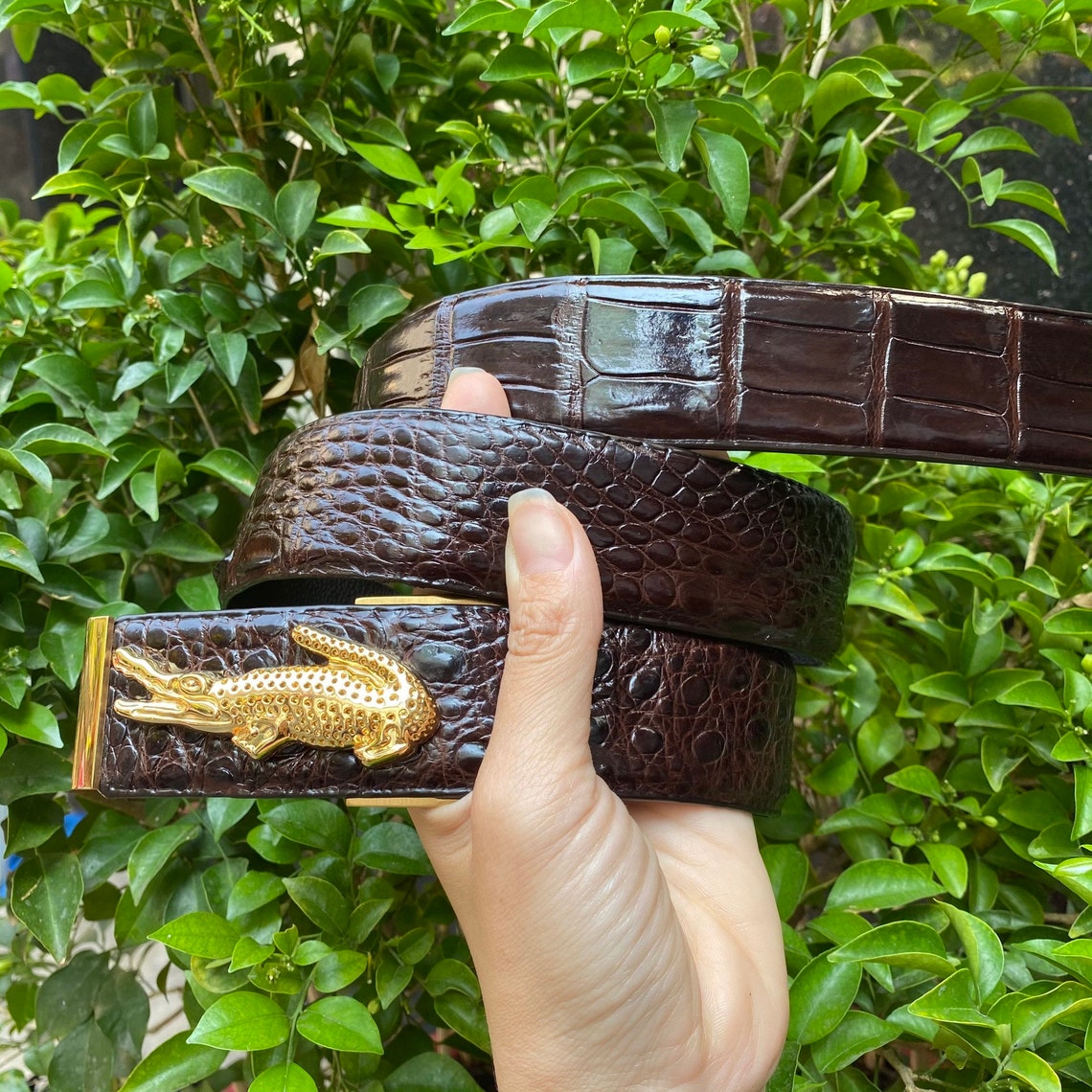 Brown Premium Genuine Vietnamese Alligator Belt Mens | Etsy