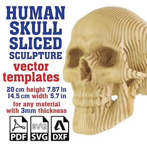 Modèle vectoriel en tranches de sculpture de crâne humain, tête de mort paramétrique en carton, sculpture anatomie, tête de mort découpée au laser, SVG, PDF, téléchargement numérique DXF