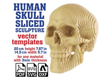 Human Skull Sculpture Sliced Vector template, Parametric Skull Cardboard, Anatomy Sculpture, Skull Laser Cut, SVG, PDF, DXF Digital Download