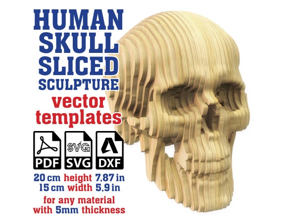人間の頭蓋骨の彫刻スライスベクターテンプレート5 mm、段ボール製の