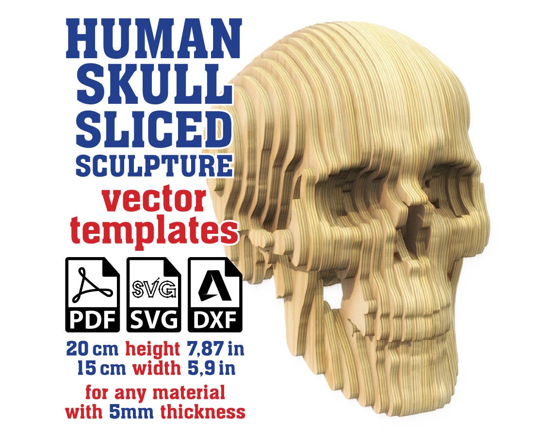 Human Skull Sculpture Sliced Vector Template 5mm, Skull