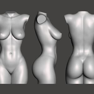 K&ouml;nnte beinhalten: Ein 3D-gedrucktes Modell eines menschlichen Torsos, das die Vorder-, Seiten- und R&uuml;ckansicht zeigt. Das Modell besteht aus einem glatten, wei&szlig;en Material und ist mit anatomischen Merkmalen detailliert.
