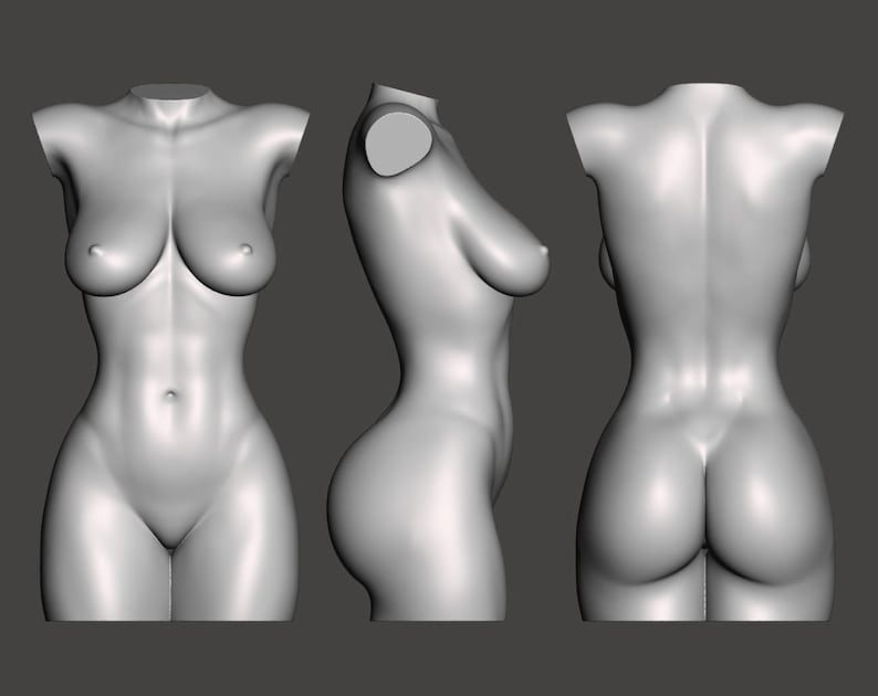 K&ouml;nnte beinhalten: Ein 3D-gedrucktes Modell eines menschlichen Torsos, das die Vorder-, Seiten- und R&uuml;ckansicht zeigt. Das Modell besteht aus einem glatten, wei&szlig;en Material und ist mit anatomischen Merkmalen detailliert.