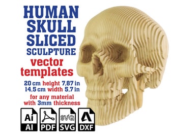 Human Skull Sculpture Sliced Vector template, Skull Cardboard Sculpture, Anatomy Sculpture, Skull Laser Cut, Parametric, Svg, Ai, Pdf, Dxf
