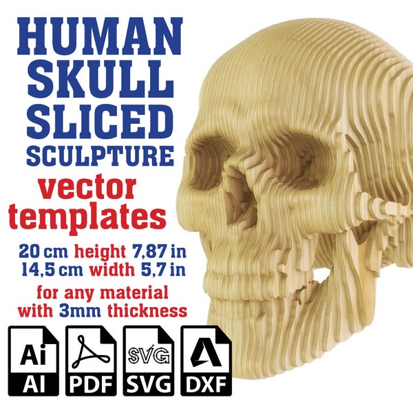 Modèle vectoriel en tranches de sculpture de crâne humain, sculpture en carton de tête de mort, sculpture d'anatomie, tête de mort découpée au laser, paramétrique, Svg, Ai, Pdf, Dxf